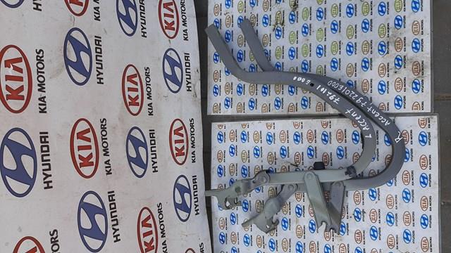 HYUNDAI 792101E000 Петля крышки багажника в наличии Хмельницкий