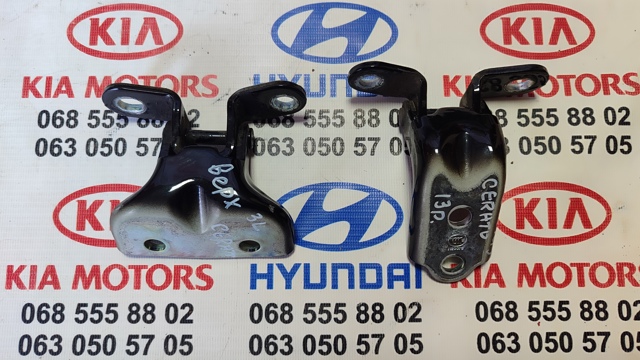 Петля двери задней левой 794103K000 HYUNDAI