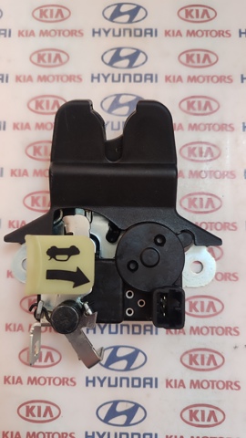 Замок двери багажника 812302T001 HYUNDAI