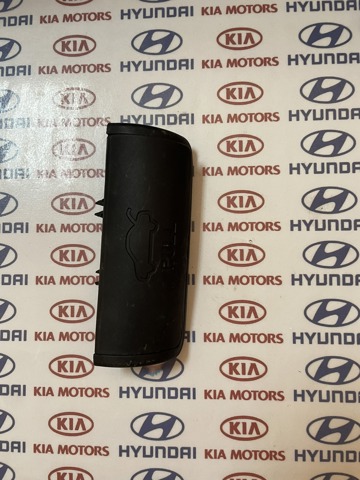 Ручка крышки багажника (двери 3/5-й задней) внутренняя 812543S000 HYUNDAI