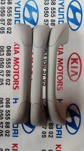 Поручни (держатели) и крючок для одежды 8200845691 RENAULT