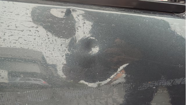821009199R RENAULT Дверь задняя правая купить в Тернополь