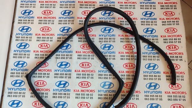Прокладка двери передней, левой (на кузове) 821102K000 HYUNDAI