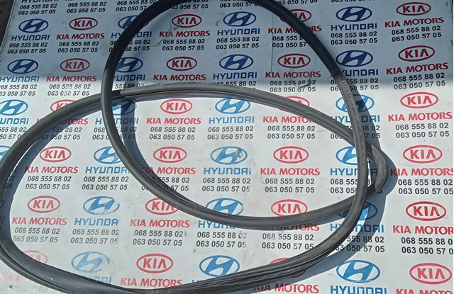 821102P000 HYUNDAI Уплотнитель двери передней левой (на кузове) купить в Кривой Рог