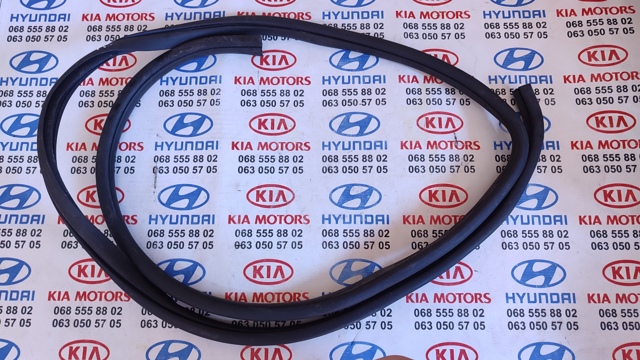 Прокладка двери передней, левой (на кузове) 821102T000 HYUNDAI