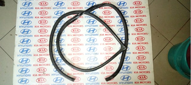 Уплотнитель двери передней, правой (на кузове) 821201H000EQ HYUNDAI