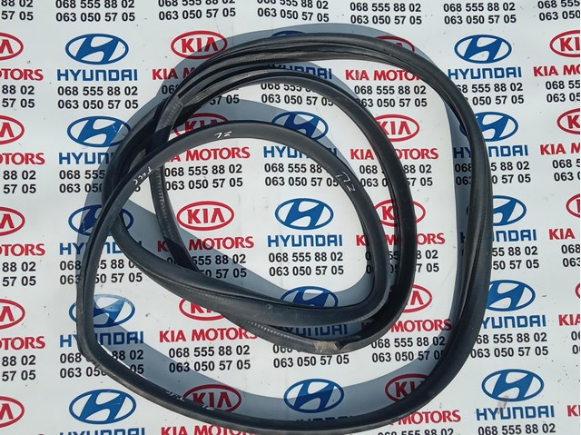 Прокладка двери задней, левой (на кузове) 831102E001 HYUNDAI