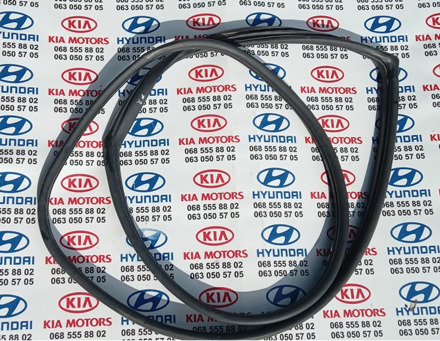 Прокладка двери задней, правой (на кузове) 831202E001 HYUNDAI