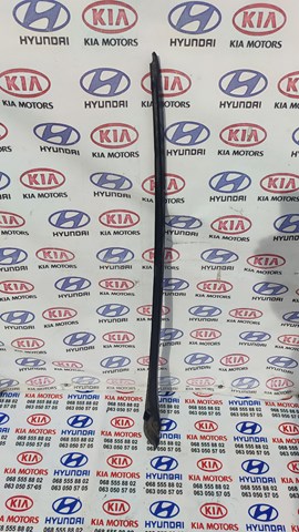 Защитная накладка переднего стекла 861312L000 HYUNDAI