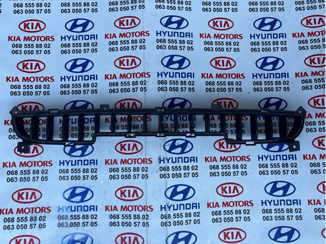 Решетка бампера нижняя 865613E500 HYUNDAI