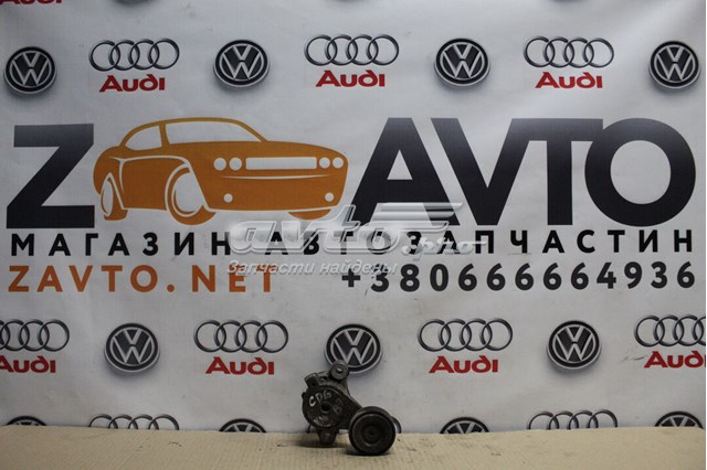 VAG 03C145299M Натяжной ролик в наличии Украина