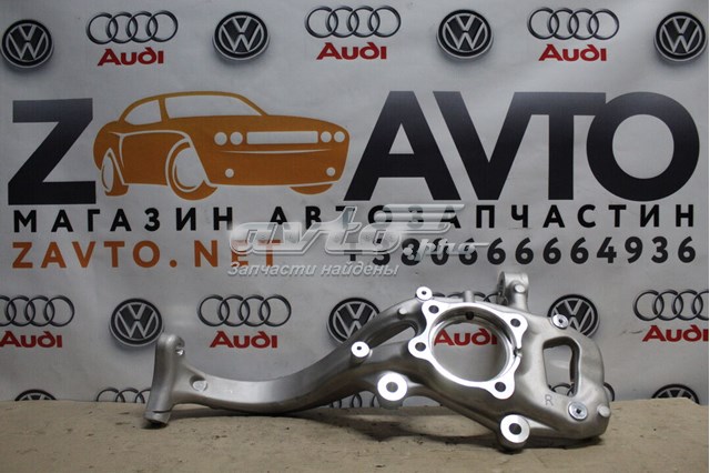 Цапфа поворотного кулака 8W0407560 VAG