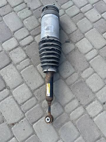 Задний амортизатор 102746100E TESLA