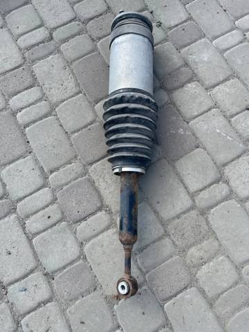 102746100E Амортизатор задний купить Киев