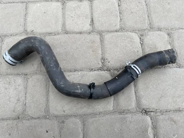 GV618260DC FORD купить в Чернигов