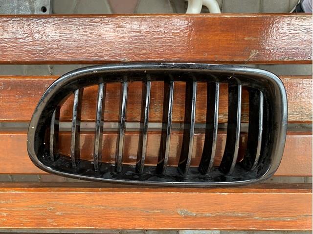 7336477 BMW Решетка радиатора левая купить в Черновцы