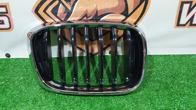BMW 51138469960 Решетка радиатора правая в наличии Чернигов