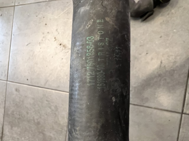 17127639213 BMW Шланг (патрубок) радиатора охлаждения нижний купить в Украина