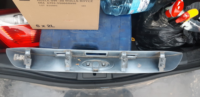 FORD DM5Z5843400BAPTM Накладка багажника (двери 3/5-й задней) в наличии Полтава