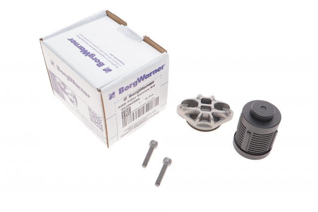 DS2002968 BORG-WARNER Фильтр заднего редуктора купить в Каменское