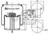 Пневмоподушка задняя 39907 FEBI