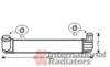 Охладитель наддувочного воздуха 43004411 VAN WEZEL