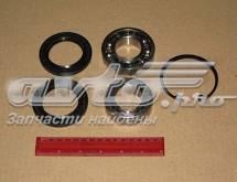 CX061 COMPLEX Подшипник задней ступицы купить в Чернигов
