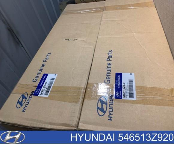 546513Z920 Hyundai/Kia