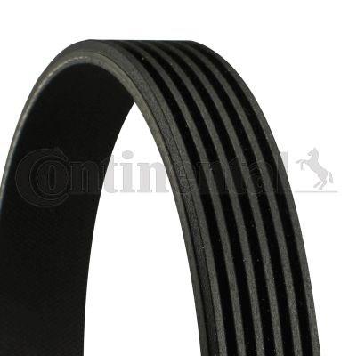 6PK2225 CONTINENTAL Ремень агрегатов приводной купить в Киев