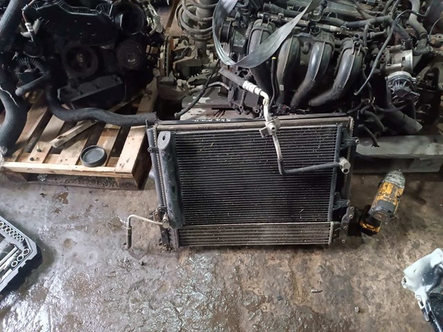 Электровентилятор охлаждения в сборе (мотор+крыльчатка)