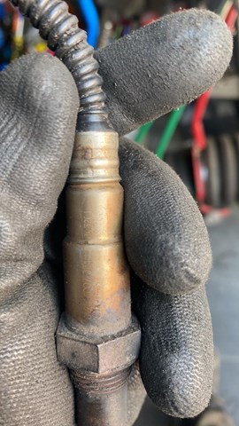 BOSCH 0258007351 Датчик кислорода до катализатора в наличии Украина