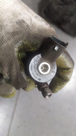 BOSCH 0445110126 Форсунка впрыска топлива в наличии Каменское