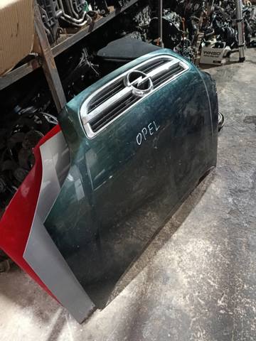 Капот — фото 12