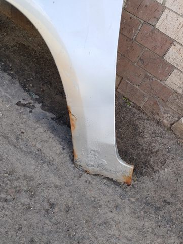 Крило переднє ліве