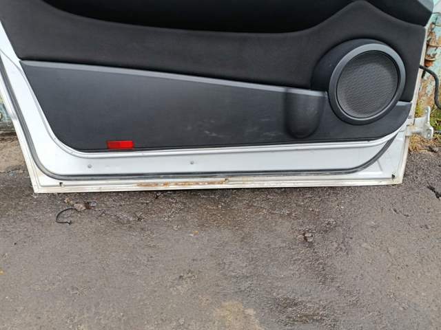 Двері передні, ліві — фото 9