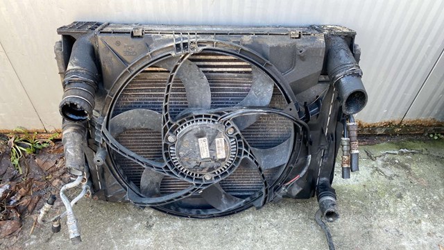 Диффузор радиатора охлаждения, в сборе с мотором и крыльчаткой 17427563259