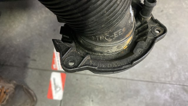 Партубок — фото 2