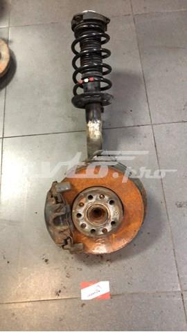 Пружина передняя