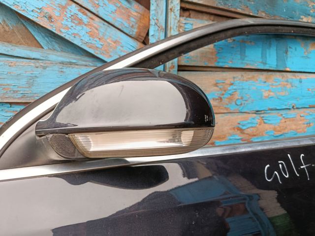 Двері передні, ліві — фото 7