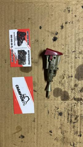 Личинка замка — фото 1