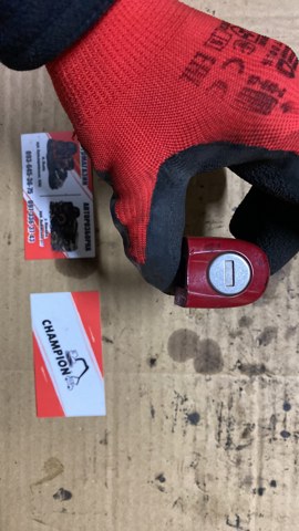 Личинка замка — фото 3