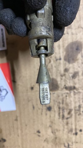 Личинка замка — фото 2