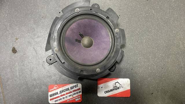 Динамік передньої двері — фото 1