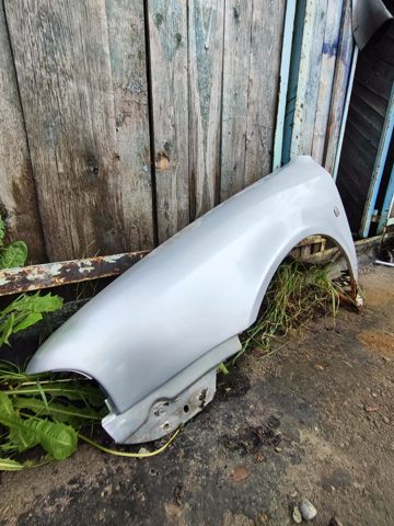 Крило переднє ліве