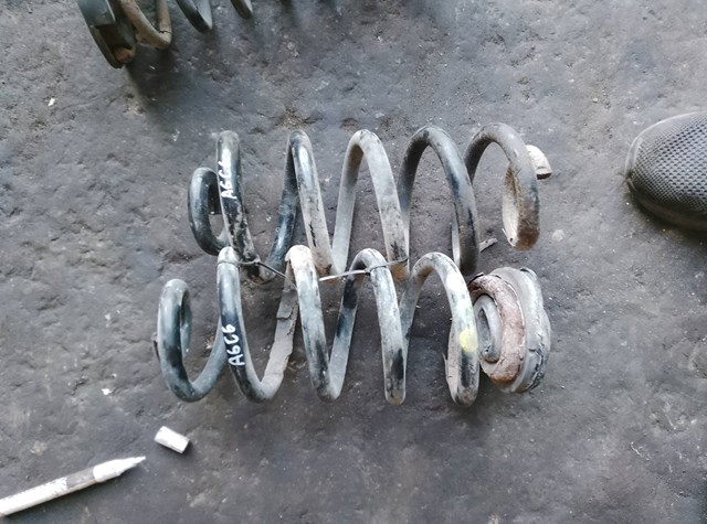 Пружина задняя