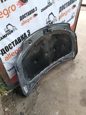 5M0823031F Капот купить Черкассы