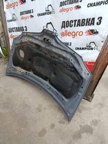 651004U130 Капот купить Кривой Рог