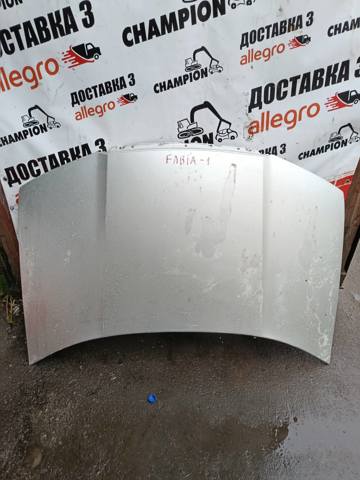 Капот 6Y0823031 VAG