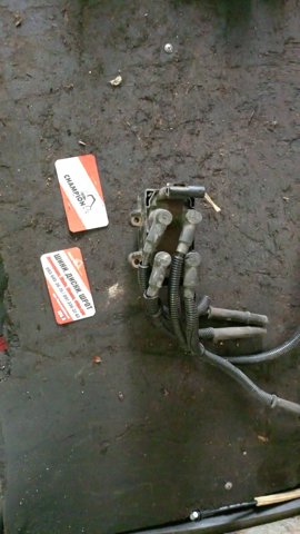 7700864624 RENAULT Катушка зажигания купить в Житомир