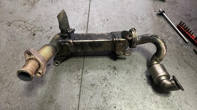 Радиатор egr